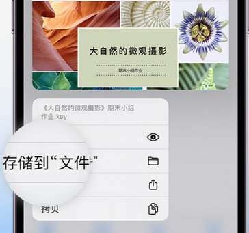 顺平apple维修中心分享iPhone文件应用中存储和找到下载文件