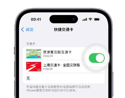 顺平apple维修点分享iPhone上更换Apple Pay快捷交通卡手绘卡面 