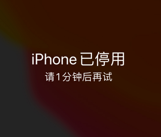 顺平苹果手机维修分享:iPhone 显示“不可用”或“已停用”怎么办？还能保留数据吗？ 