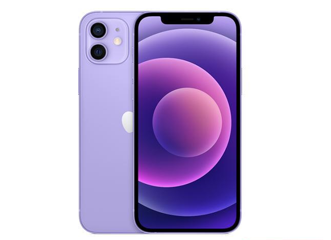 顺平苹果手机维修分享现阶段要不要入手紫色版iPhone12 
