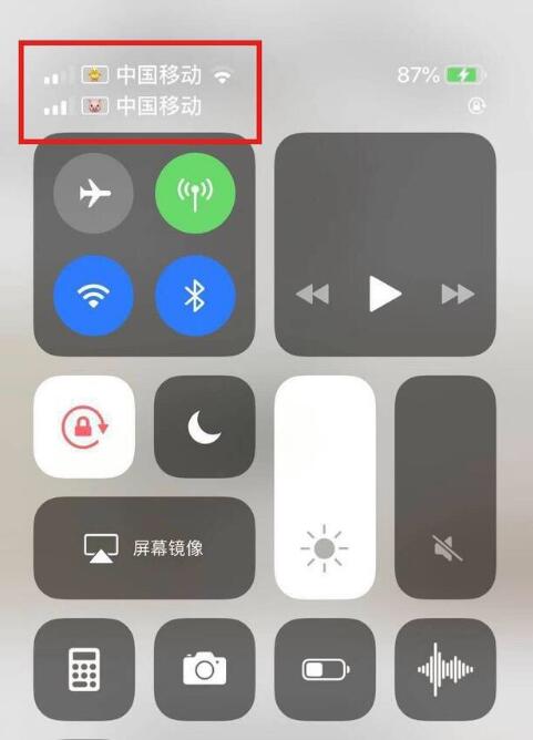 顺平苹果手机维修分享为 iPhone 12 双卡设置标签 